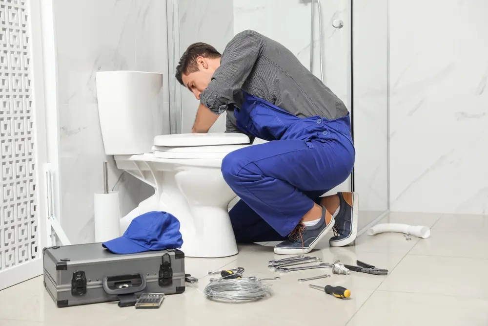 Toilet Repair in Hoquiam